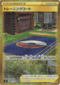 Training Court (127/100) Holofoil