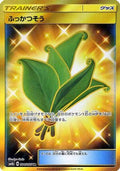 Life Herb - 084/066 (084/066) Holofoil