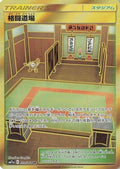 Martial Arts Dojo (079/064) Holofoil
